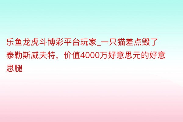 乐鱼龙虎斗博彩平台玩家_一只猫差点毁了泰勒斯威夫特，价值4000万好意思元的好意思腿